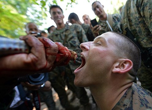 重口味的<em>另类</em>军事训练:美国士兵生饮蛇血--浙江