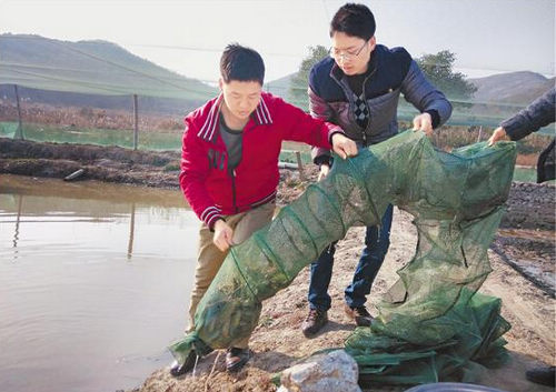 浙江海洋学院4位大学生在泥巴上创业 小小泥鳅