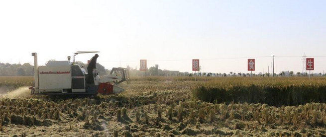 �����Ъ �㽭����������������ͼ��