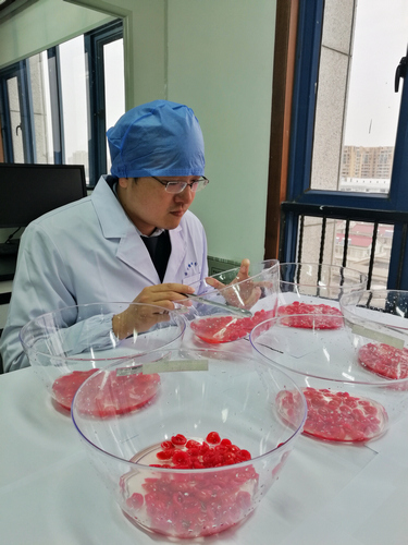 检验检疫人员在对该批樱桃制品进行感官检验