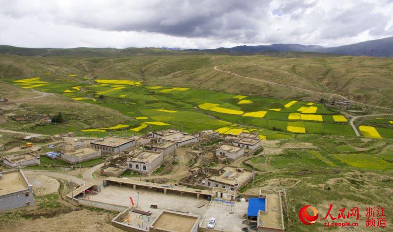 7月20日拍摄的西藏日喀则市仁布县普松乡果措村.