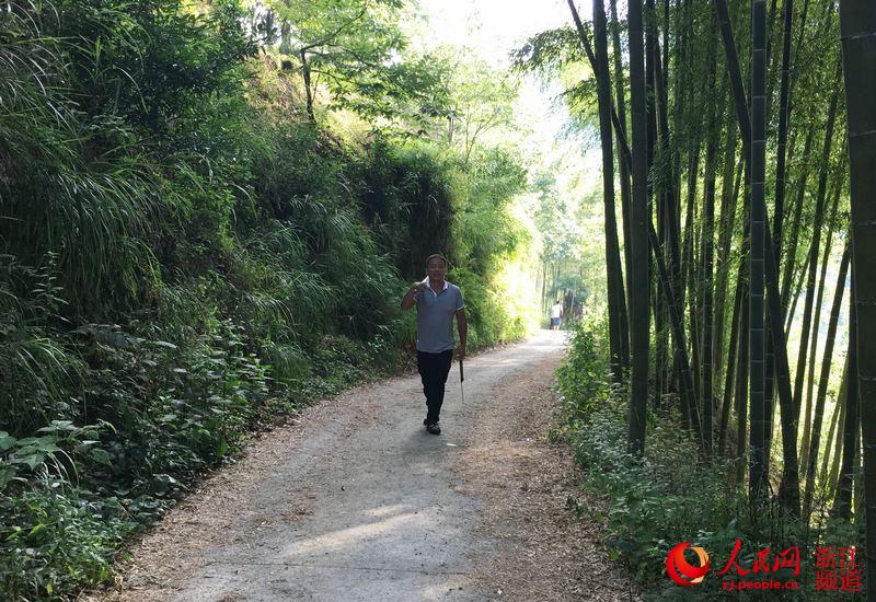 几乎每天，沈世东都要到自家承包的毛竹园转转，看看生长情况，盘算采伐时机。