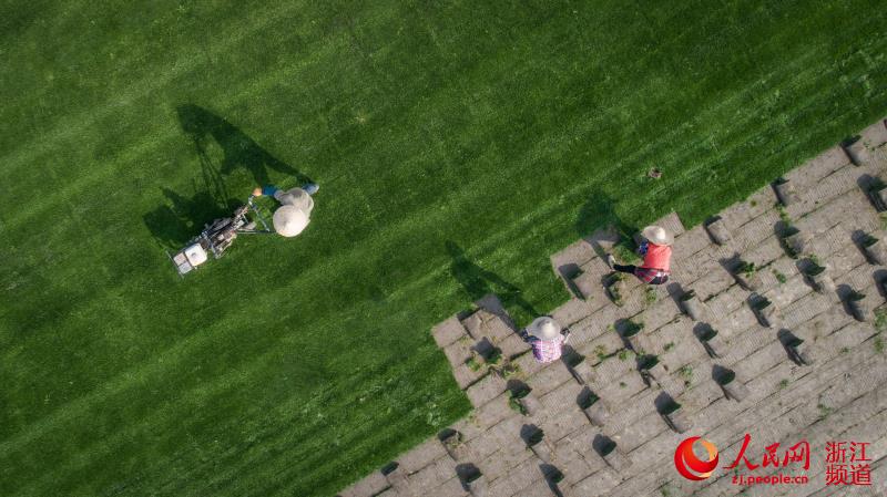 �㽭���ݣ����¸��ݡ���ũ���ա�4��