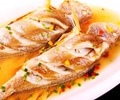 台州大陳打造黃魚特色強鎮  大陳漁場是中國四大漁場之一，盛產各類海產品，其中最有名的就是大黃魚…【詳細】