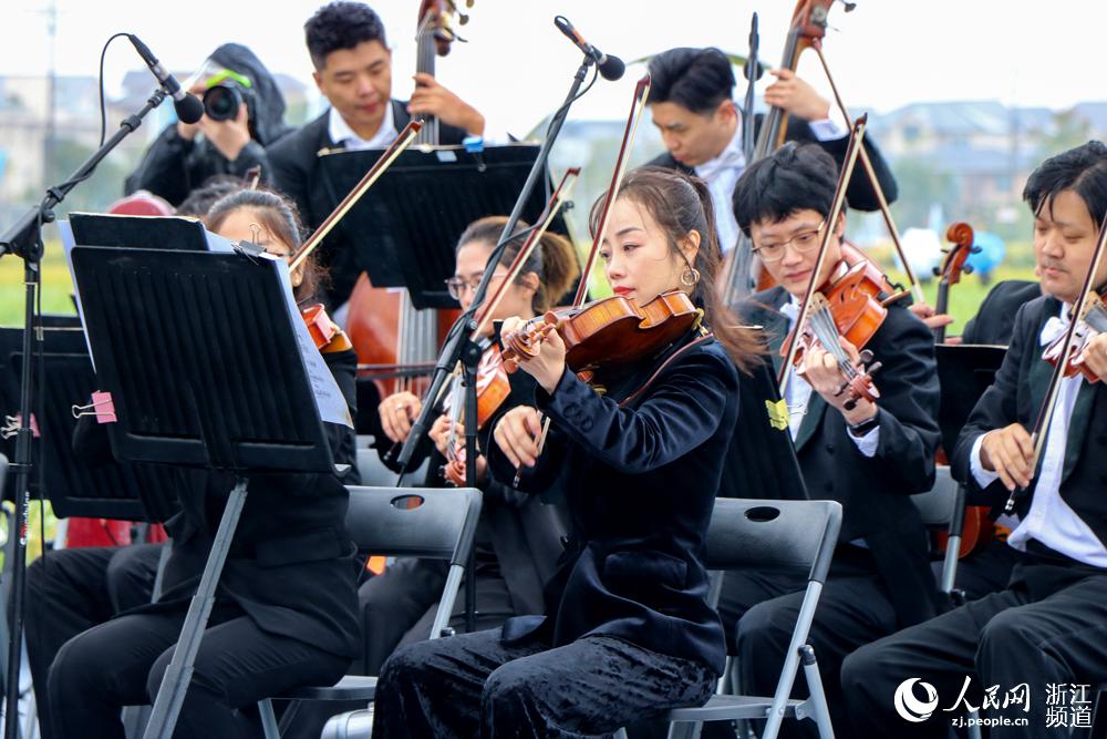 10月16日，由浙江交响乐团带来的演奏会在稻田里上演。人民网 叶宾得摄