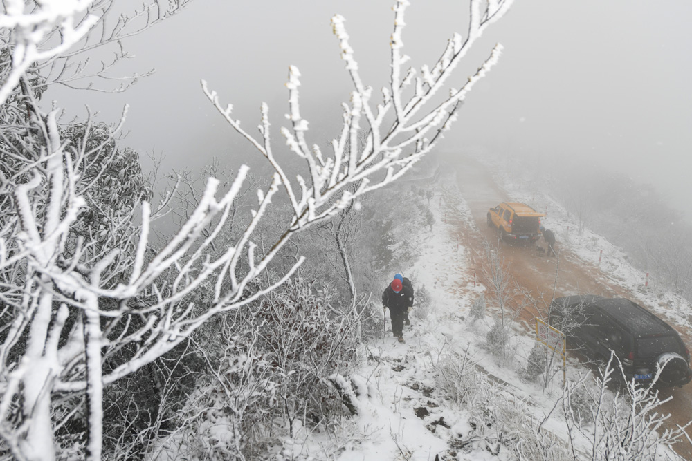 1月28日，国网湖州供电公司的电力工人对特高压输电线路进行巡视检查，确保电网安全运行。刘东东摄