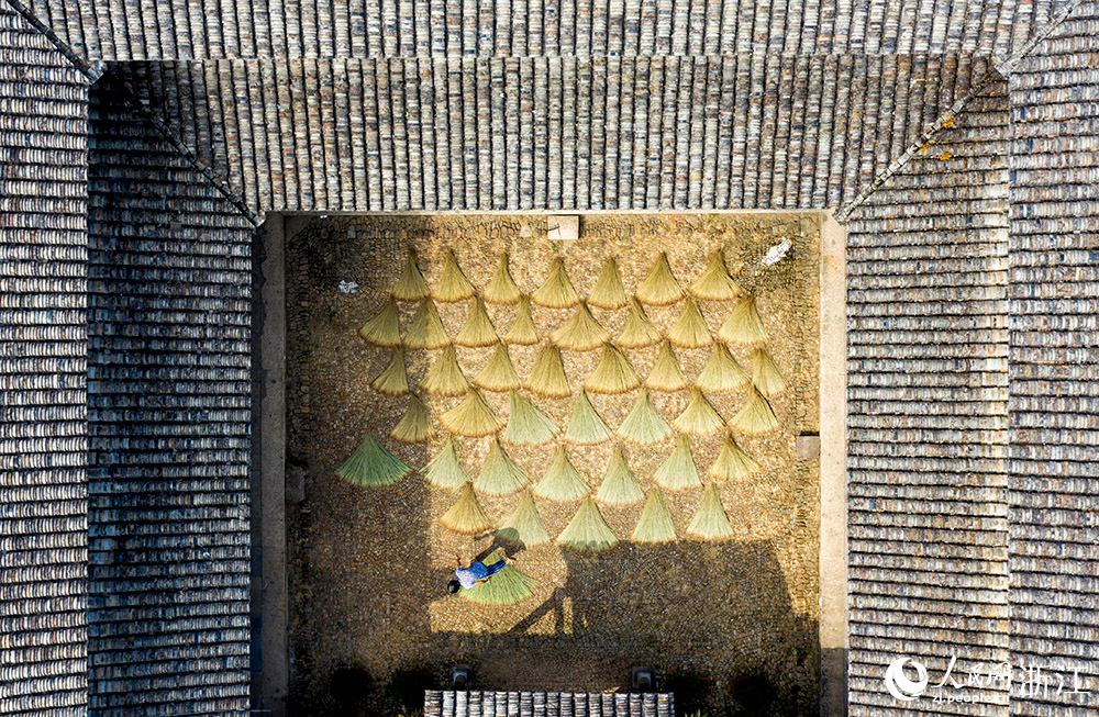村民将席草摆成了一个个扇子形状进行晾晒，构成一道独特的“丰”景画面。人民网 章勇涛摄