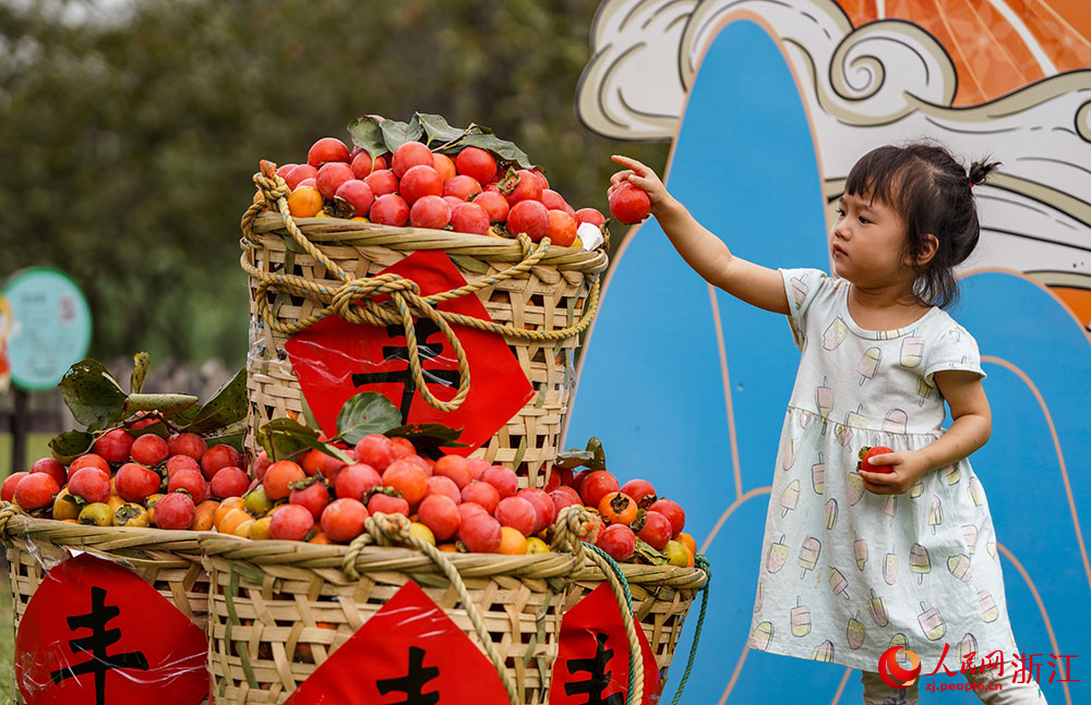 9月23日，一小朋友在果篮里拿柿子。人民网 章勇涛摄