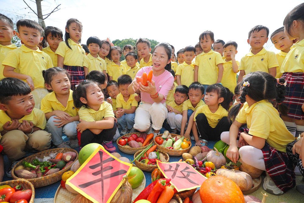 老师教孩子们认识各种农作物。王正摄