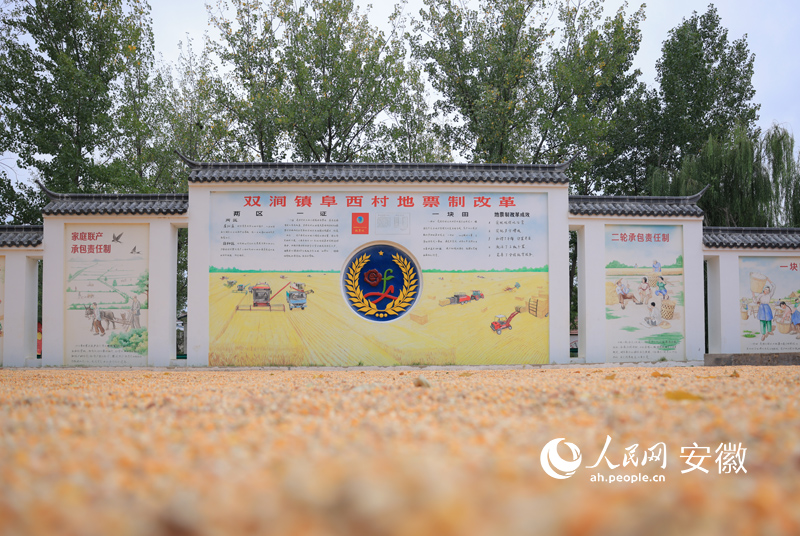 蒙城双涧镇阜西村将地票制改革内容写在村民广场的照壁上。人民网 王晓飞摄