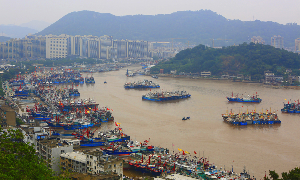 10月17日，在宁波象山石浦鱼港，不少渔船归港避风。谢定会摄
