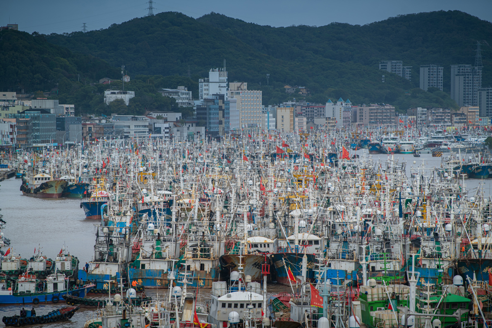 10月17日，在舟山市沈家门渔港，不少渔船已安全到港避风。诸葛晓明摄