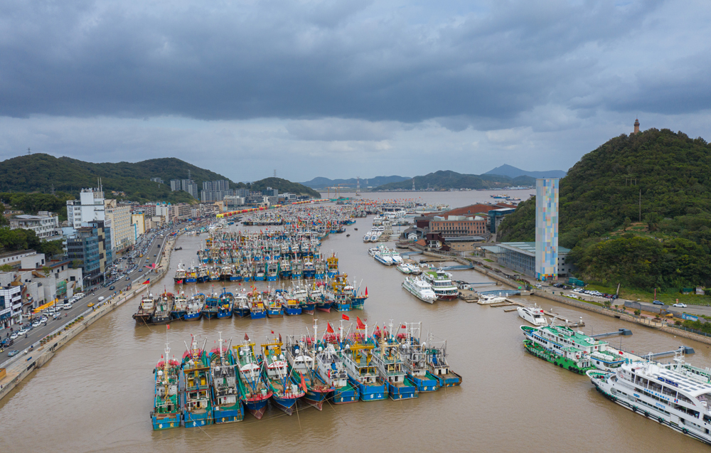 10月17日，在舟山市沈家门渔港，不少渔船已安全到港避风。诸葛晓明摄