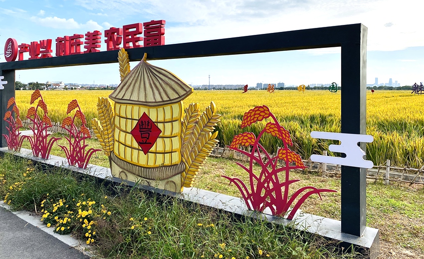 “三权分置”制度改革助力村民增收。宁波市江北区甬江街道供图