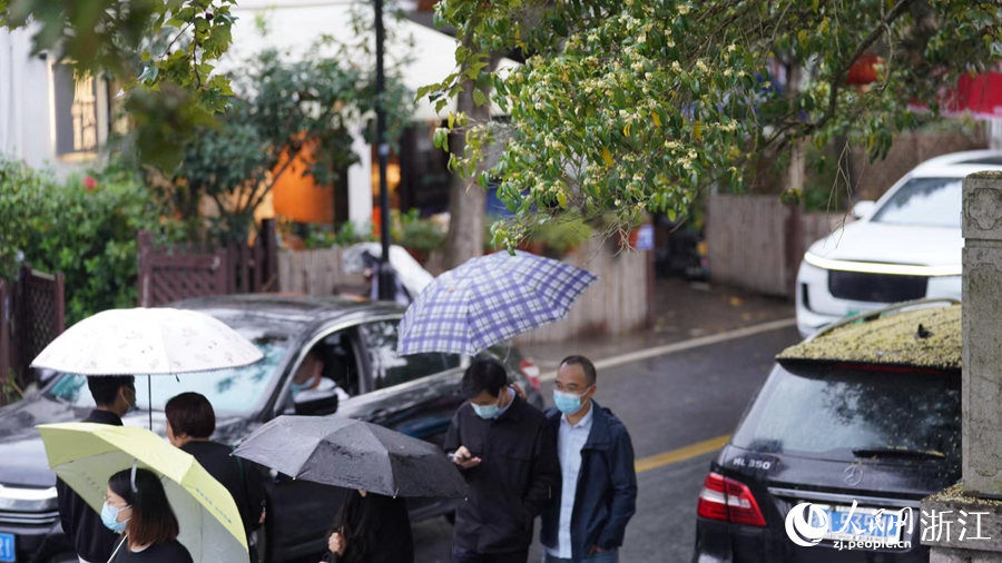 金秋十月，正是賞桂時。人民網 記者郭揚攝