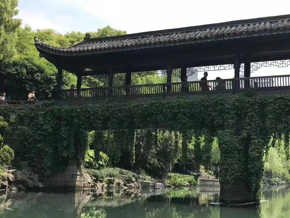 坐杭州水上巴士七号线可以途经十二座古桥。拱墅区委宣传部供图