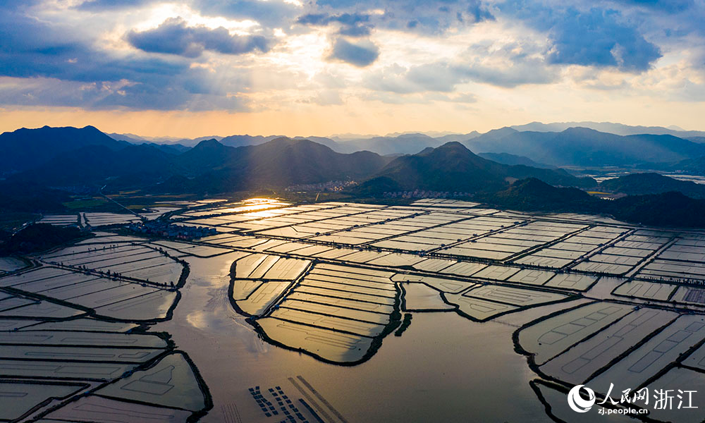 空中俯瞰台州市三门县万亩养殖塘，美景如画。人民网 章勇涛摄