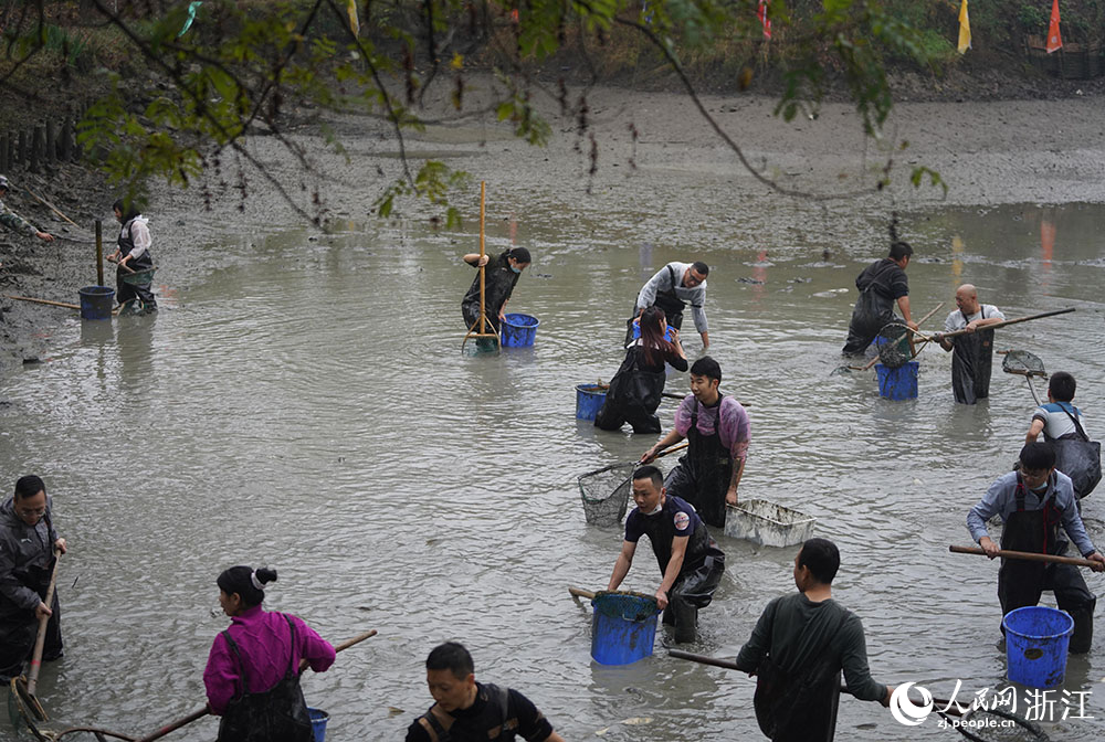 11月19日，游客在西溪湿地体验“干塘”捕鱼。人民网 章勇涛摄