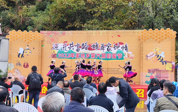 浙江景宁：蜂乡割蜜话共富