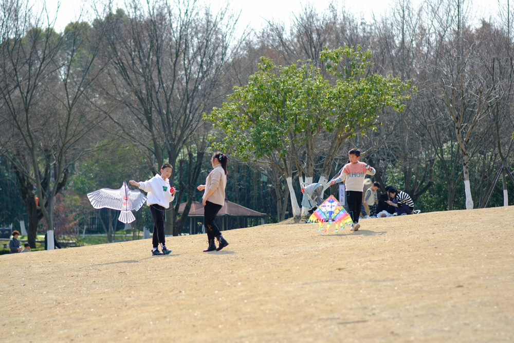 市民游客在湖州德清县武康街道春晖公园内赏花游玩。蔡俊摄