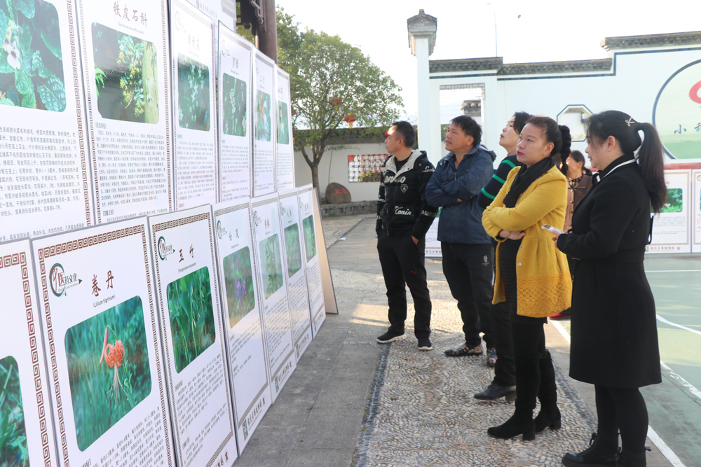 2023年“世界野生动植物日”宣传活动启动。桐屿街道供图