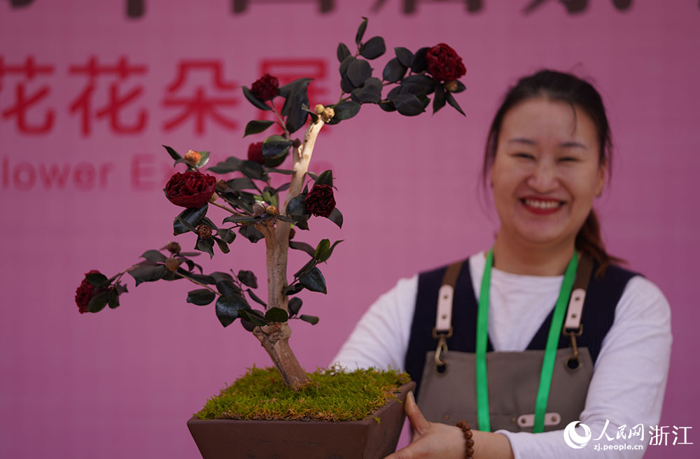 3月10日，參展商在金華市人民廣場的茶花展上展示茶花。人民網 章勇濤攝