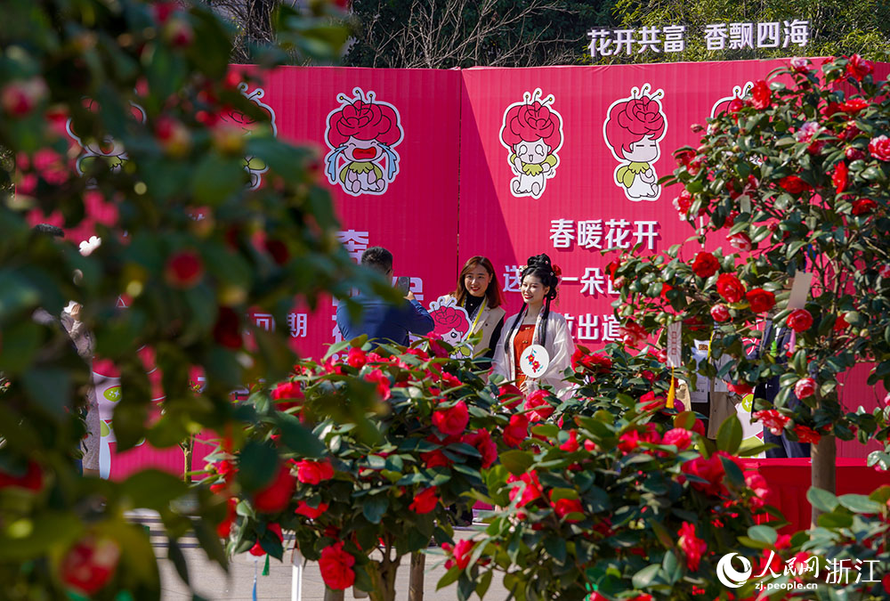 3月10日，市民在金華市人民廣場的茶花展上合影留念。人民網 章勇濤攝