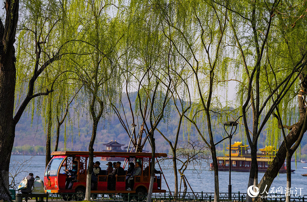 柳浪闻莺公园附近，杨柳青青，景色宜人，吸引众多市民游客前来踏青赏景。人民网 章勇涛摄