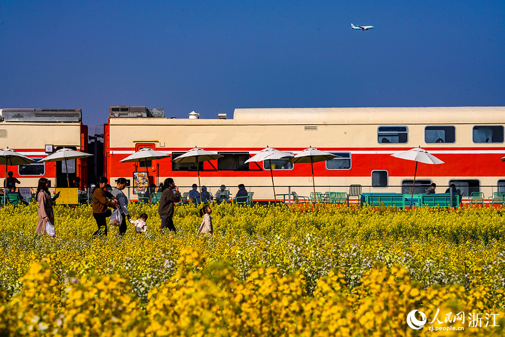 一列橙黃色的八節雙層火車“靜臥”在七彩油菜花海邊，吸引不少游客前來品咖啡、賞春色。人民網 章勇濤攝
