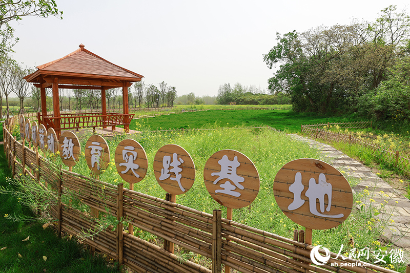 位于代村一隅的研学基地。人民网 张俊摄