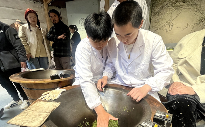浙江松阳：走进街巷品新茶