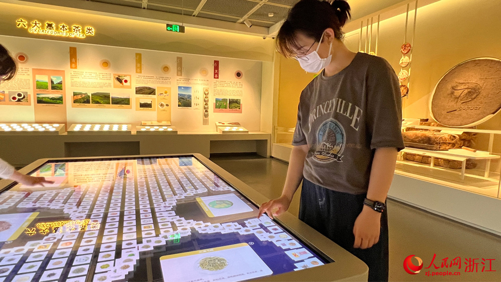 茶叶信息资料库包含了两百余种茶叶信息。人民网记者 艾宇韬摄