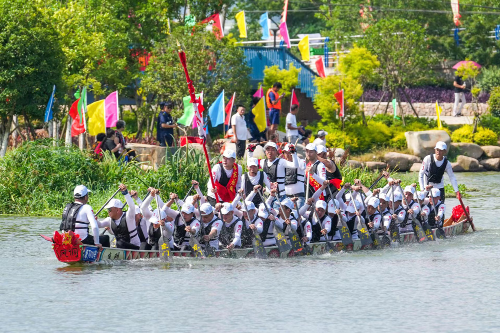 6月19日，在瑞安市中塘河，龙舟爱好者正在划龙舟、赛龙舟。孙凛摄