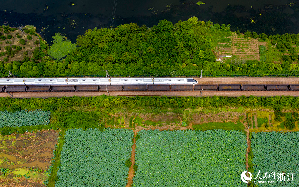 8月8日，一輛城際列車行駛在杭紹甬城際鐵路上虞段境內。人民網 章勇濤攝