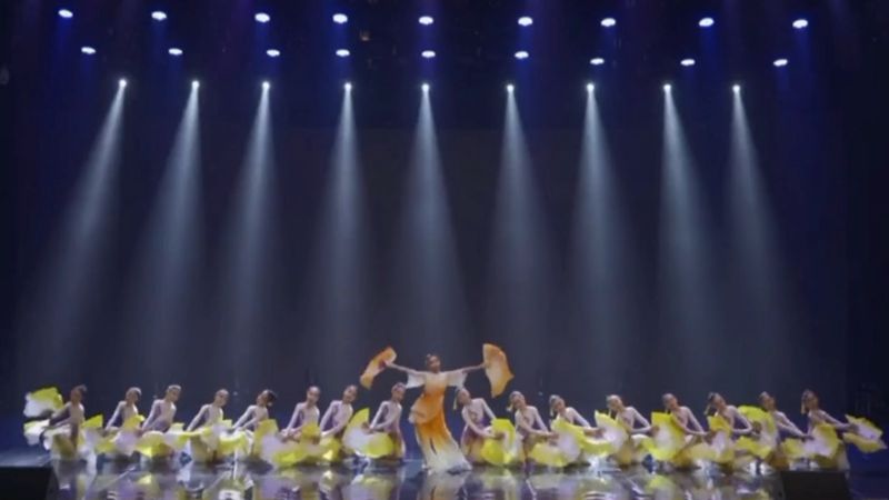 白水洋镇中心小学舞蹈队表演的《十八焕蝶》参加台州市级比赛。受访者供图