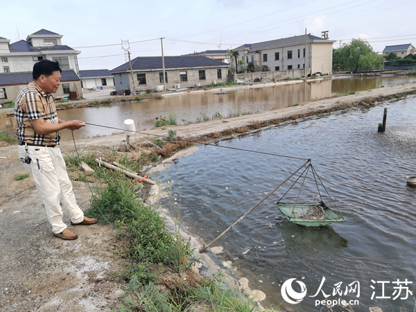 如東縣大豫鎮九龍村村民許志冰向記者展示對蝦養殖情況。人民網記者王繼亮攝