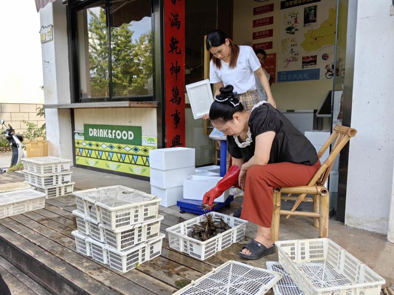 村民們正在分揀藍龍蝦。衢州市委宣傳部供圖