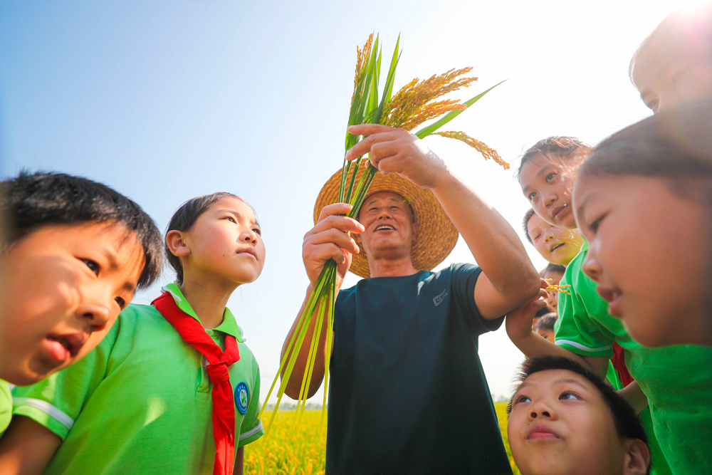 学生们走进田间地头，近距离了解庄稼种植情况。王正摄