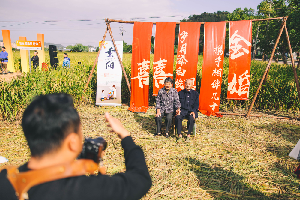 20多对金婚夫妇走进稻田，拍金婚纪念照。象山县委宣传部供图