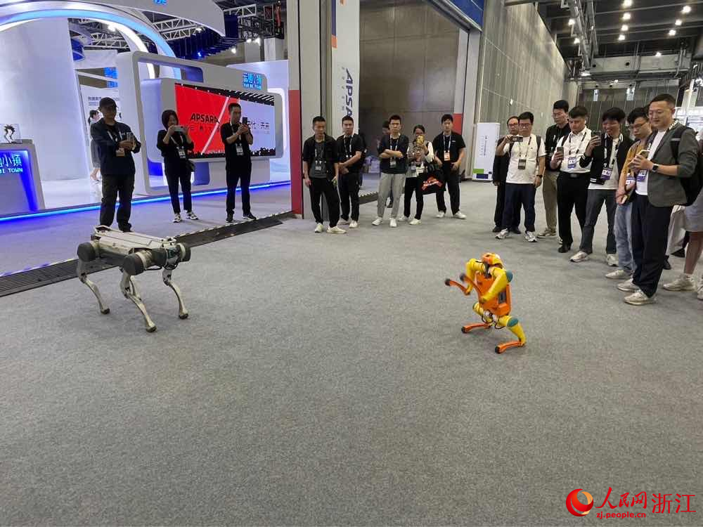 观众现场观摩机器狗和双足机器人。人民网 秦铭泽摄