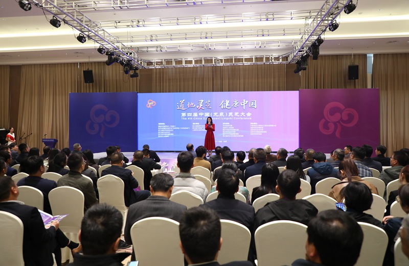 11月16至17日，第四屆中國（龍泉）靈芝大會在浙江龍泉召開。龍泉市委宣傳部供圖
