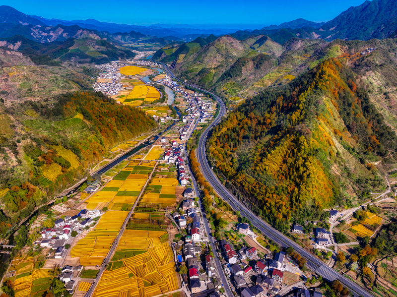 杭徽高速穿山而過，沿途五色斑斕的大地與高速公路交織成一幅深秋的油畫。滬杭甬公司供圖