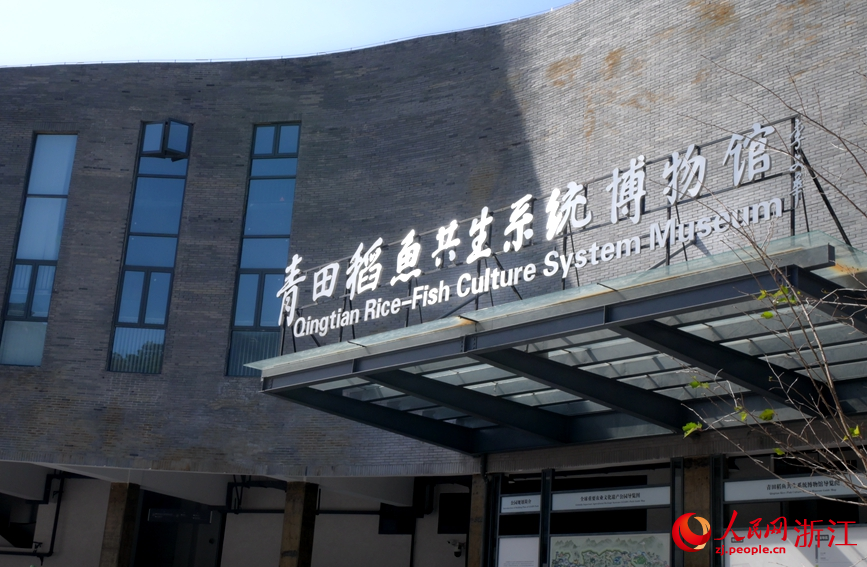 青田建立了世界首个稻鱼共生系统博物馆。人民网记者 张丽玮摄