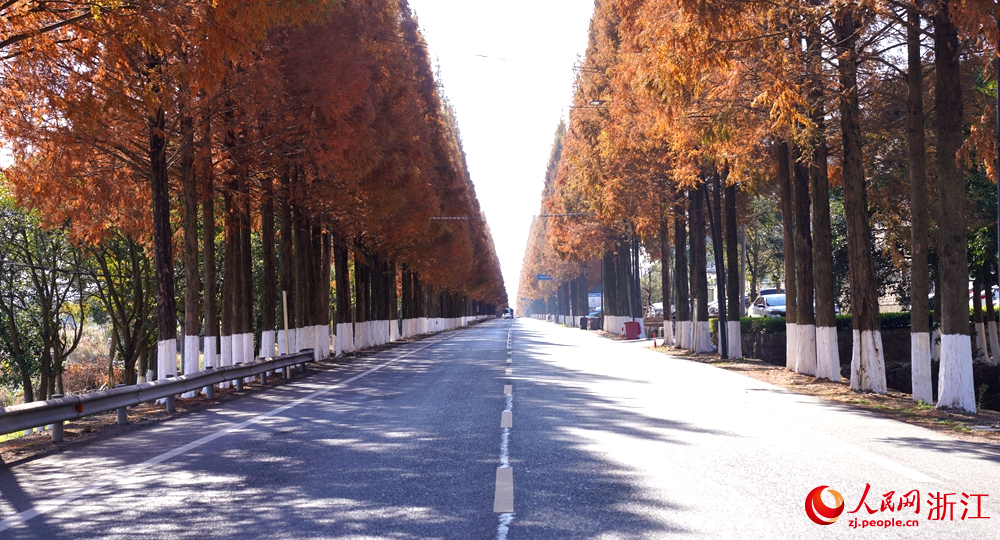 214省道宁海前童段风光。人民网 陈陆洵摄