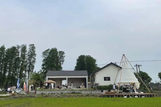 麥田咖啡。運河街道供圖