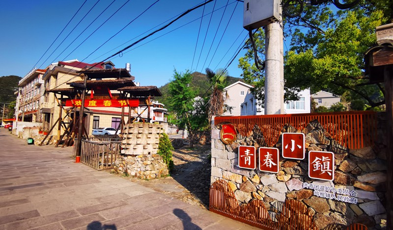 坞根镇是台州首个以青春命名的小镇。花溪村供图
