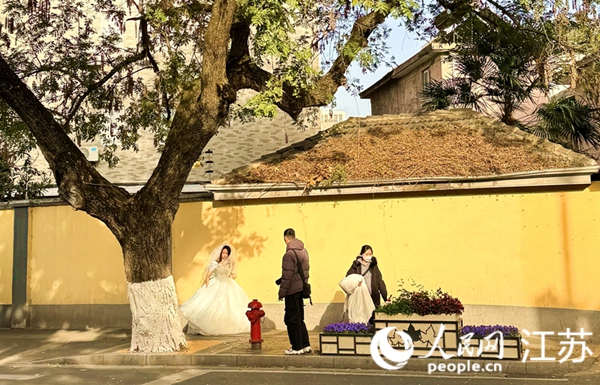 頤和路拍攝婚紗的游人。人民網記者 馬曉波攝