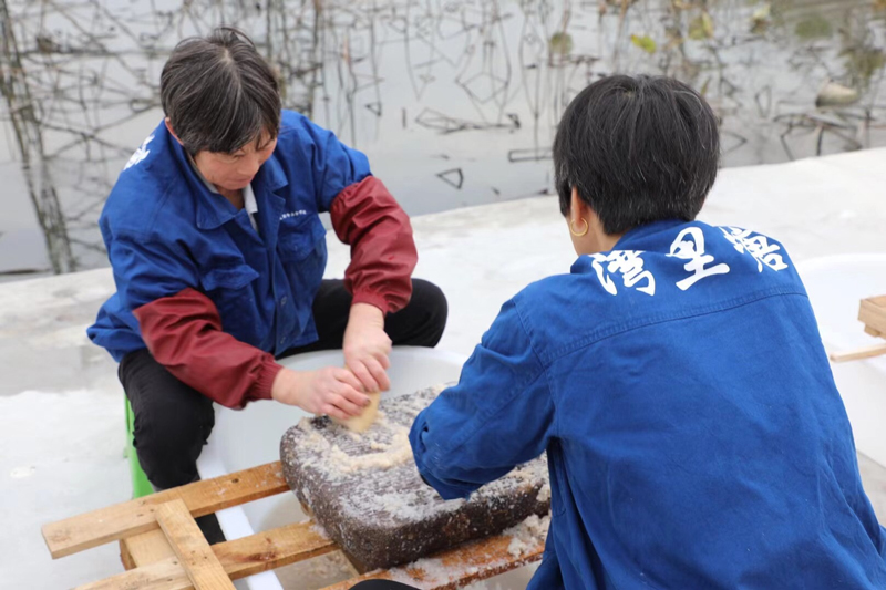 村民制作藕粉。