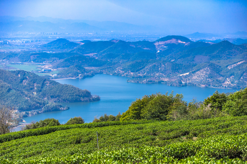茶葉山下的雲湖水庫。徐烽攝
