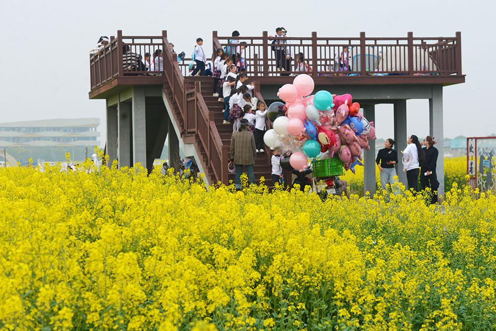 行走在宁波江北甬江街道北郊片区，处处是风景，步步闻花香。甬江街道供图